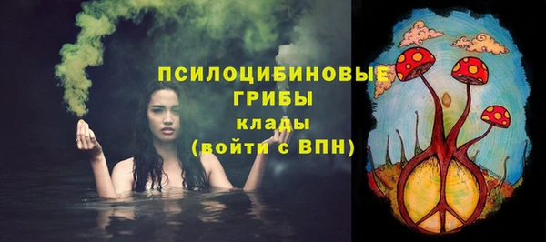 СК Лиски