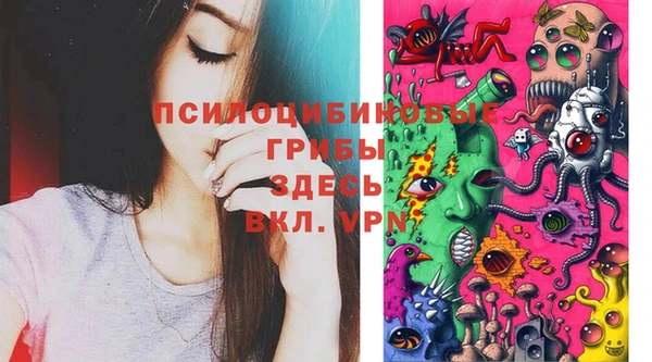 СК Лиски